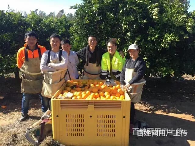 北京出国劳务派遣打工可靠吗发达国家工签招聘建筑司机厨师等保底 - 图片 5